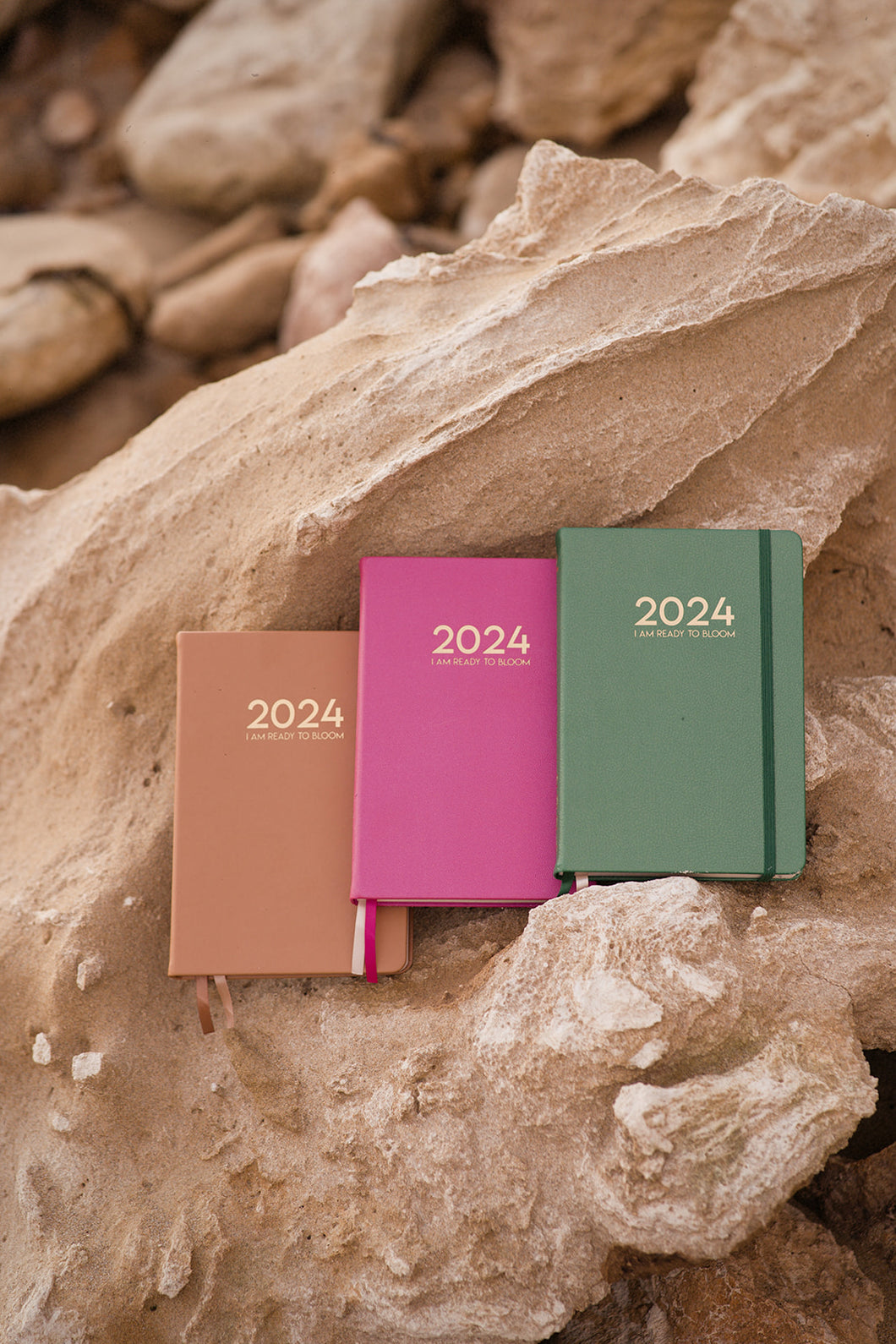 I AM READY TO BLOOM 2024 PLANNER