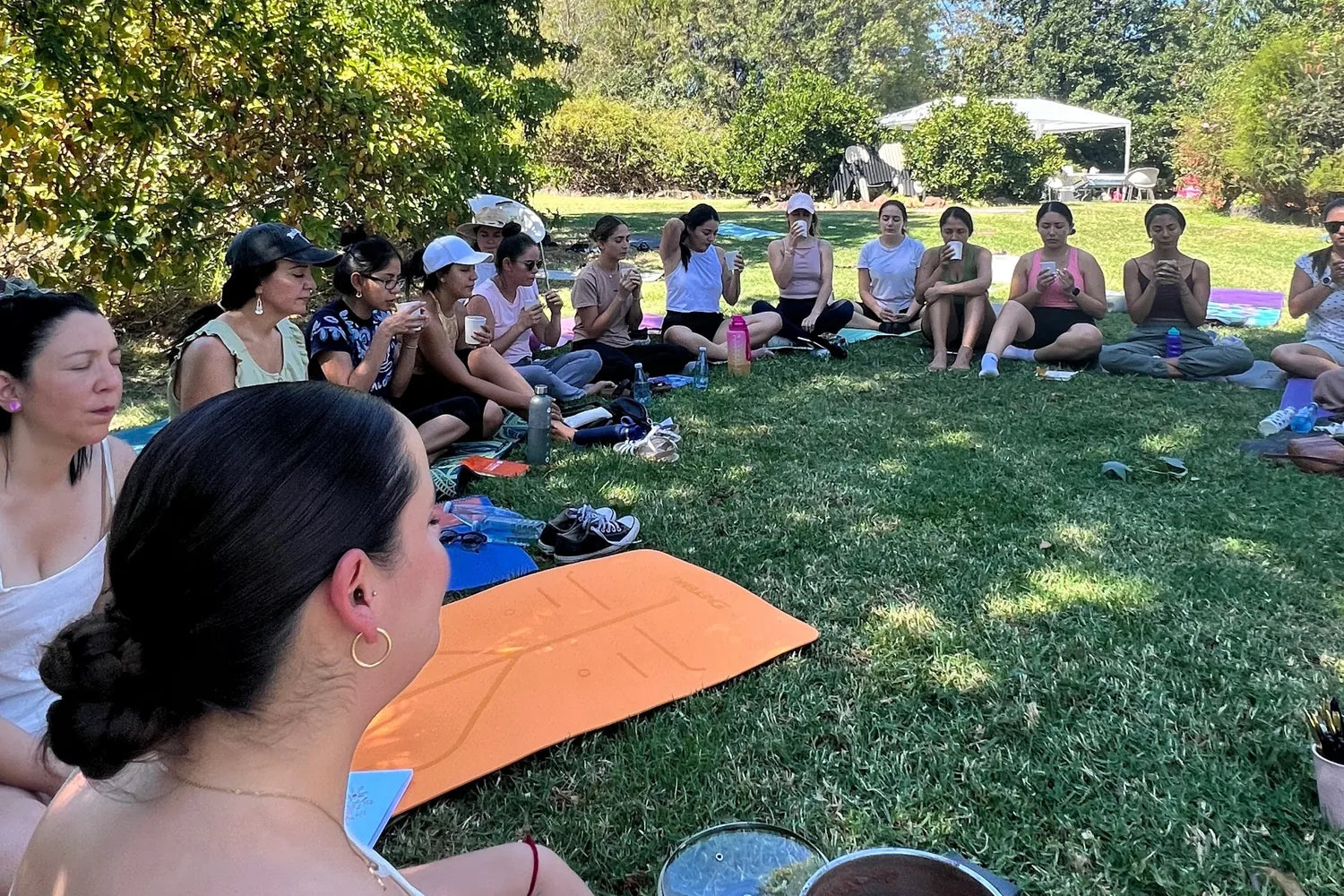 Un círculo de mujeres sentadas sobre el pasto a la sombra de un árbol, en pleno día.