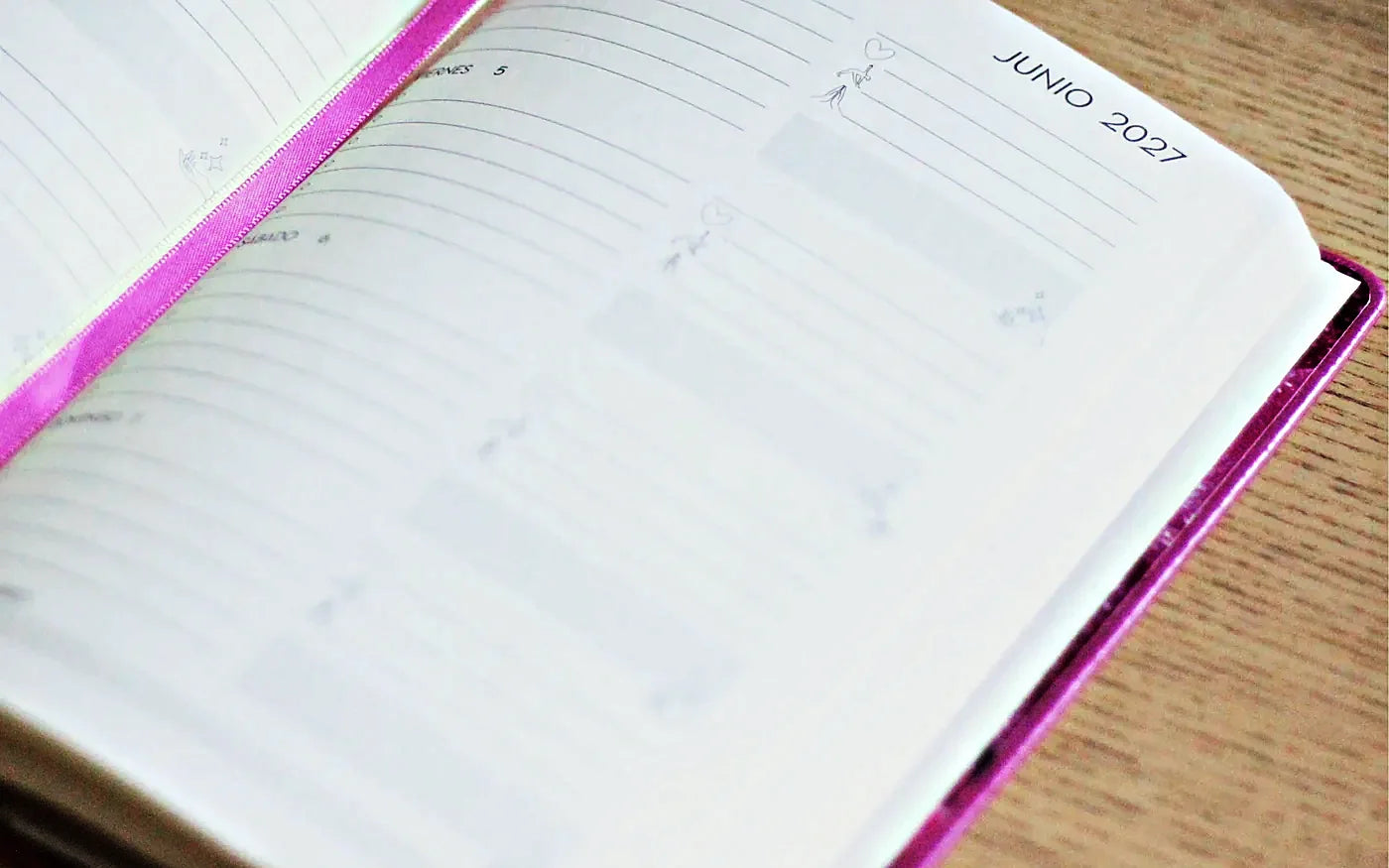 Plana del año abierta de la Planner 2027